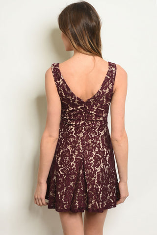 Wine and Nude Flared Lace Mini Dress-Back View